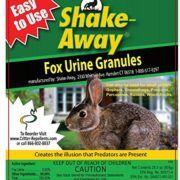 Getting Rid Of Groundhogs Mothballs - Groundhog Repellent